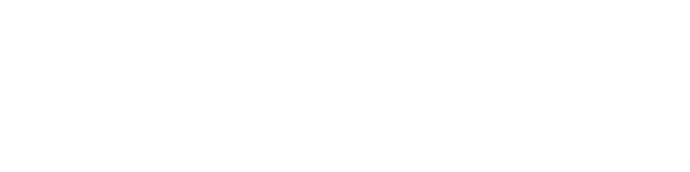 convert web to webview app